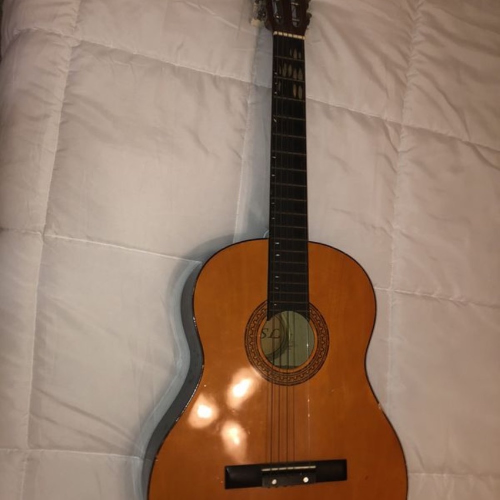 Guitar